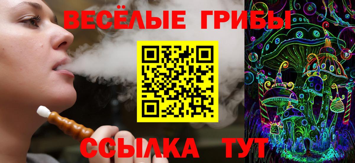 Галлюциногенные грибы Psilocybe Углич